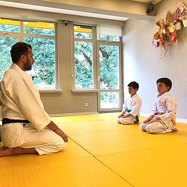 aikido sensei aikido sensei